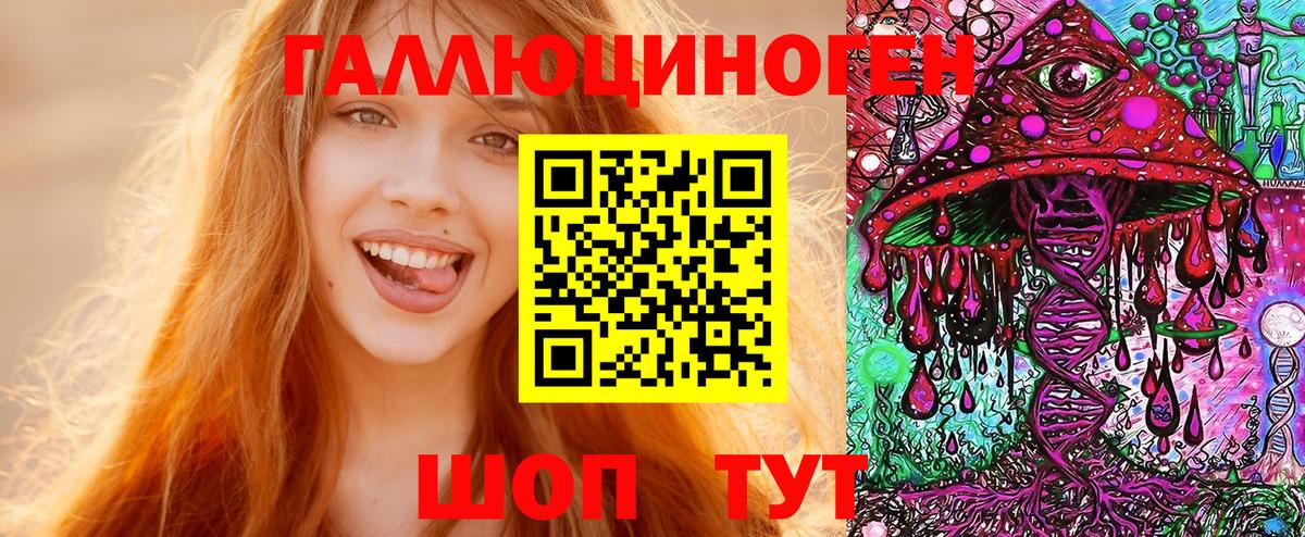 Новороссийск  Галлюциногенные грибы Psilocybine cubensis  Вход с VPN 